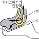 시스템타이어 네이버블로그