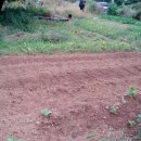 삼삼농장 이미지