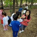 도당초등학교 이미지