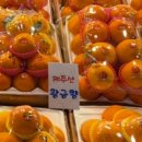 제주사람들농수산