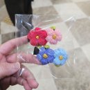 양양 여행 :) 쏠비치 양양 카페 어실장 회포장 후기 (feat.내돈내산)