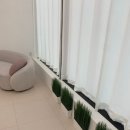 고퀄리티 맞춤 디자인 청주눈썹 디오벨라