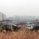수원화성통닭 이미지