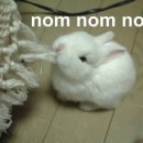 기쁨양꼬치 이미지