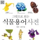 그림으로 보는 식물용어사전 이미지