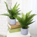 솔향인테리어 이미지