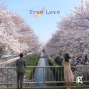 눈큰나라 네이버블로그