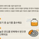 애니카랜드 서구점 이미지