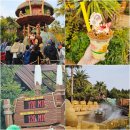 행복슈퍼 | 오사카 유니버셜스튜디오 재팬 입장권 일본 USJ 익스프레스패스 가격 주말 동키콩 후기