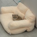 여주-0979 이미지