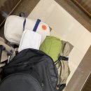 가까운 경기도 애견 동반 캠핑장 캠핑주막 (펍, 계곡 뷰, 대형견 가능)