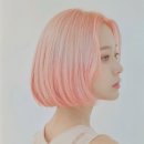 디자인 퍼플 이미지