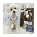 멍앤리치 이미지