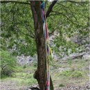 미라4길 이미지