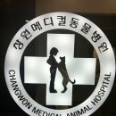 쿠키동물병원 이미지