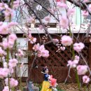 양정현대유치원 이미지