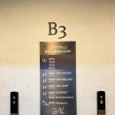 뉴영광 | 서울 강서구 더뉴컨벤션웨딩 더뉴홀 식순 공유 전문 여자 사회자 사회 후기