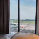 T3밸리 | [싱가포르여행 2탄] 시작은 크라운 플라자 창이공항 호텔 숙박 후기