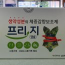 프리지 이미지