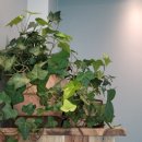 그린1급종합검사정비 이미지