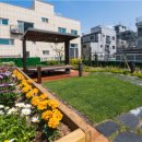 광진노인보호센터 이미지