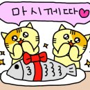 쌉돼지 이미지