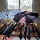빨간우산, 검정우산, 찢어진우산 이미지