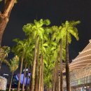 야경코스 이미지