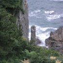 금강산도식후경 이미지