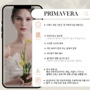 이희정헤어 | 청담순수 리허설 메이크업과 프리마베라 본식 드레스 셀렉 후기