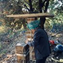 프랜마스터 행정사 사무소 이미지