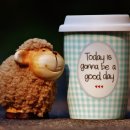 바리스타 자격증 취득하기 이미지