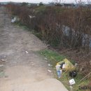 대화4교 이미지