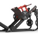 뉴온리짐 이미지