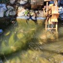 옥련시장 이미지