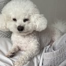 쭈 주식회사 | [눈나의일상]빨빨 거리느라 바쁘다