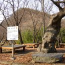 절부마을입구 이미지