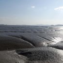 강화해수랜드 이미지