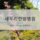 새우리한방병원 이미지