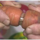 이해영 농장 이미지