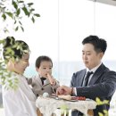 더메종컴퍼니 | 라메종수와레/제이드컴퍼니/워니스냅