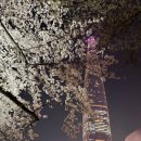 fun한 도자기 만들기(야간) | 잠실 석촌호수 벚꽃축제 실시간 다녀온 후기, 총정리 (주차, 야간조명시간, 포토존, 기간)