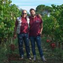 파토리아 이미지