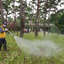 열우물숲공원 이미지