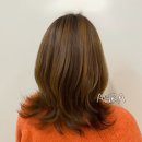 아라헤어 이미지