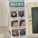 오비드헤어살롱