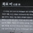 묘묘