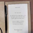 도리어 | 제주신라호텔 2박 3일 가족여행 후기｜수영장·조식·객실 이용 꿀팁