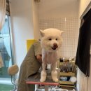 하오하개 이미지