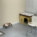 비비펫미용 이미지